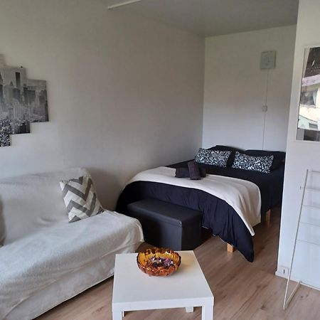 Studio Rdc Calme Avec Parking Ferme Pres Autoroute Et Tram C Mulhouse Bagian luar foto
