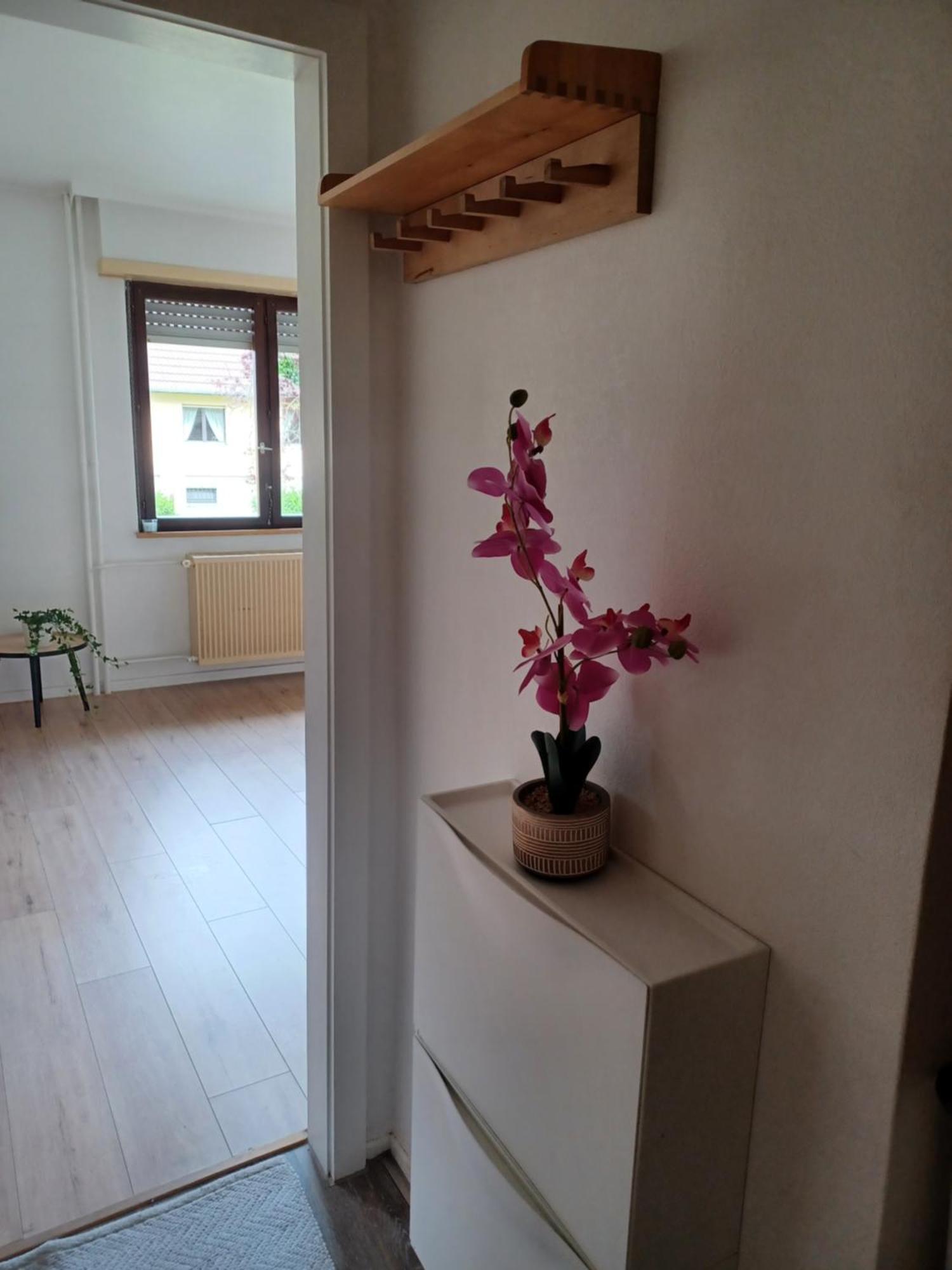 Studio Rdc Calme Avec Parking Ferme Pres Autoroute Et Tram C Mulhouse Bagian luar foto