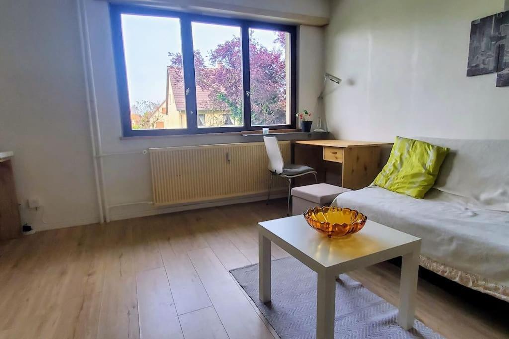 Studio Rdc Calme Avec Parking Ferme Pres Autoroute Et Tram C Mulhouse Bagian luar foto