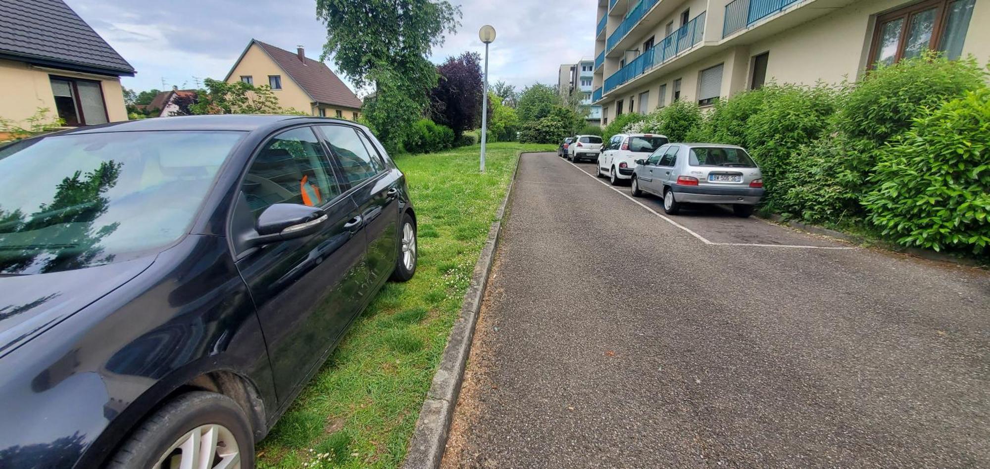 Studio Rdc Calme Avec Parking Ferme Pres Autoroute Et Tram C Mulhouse Bagian luar foto