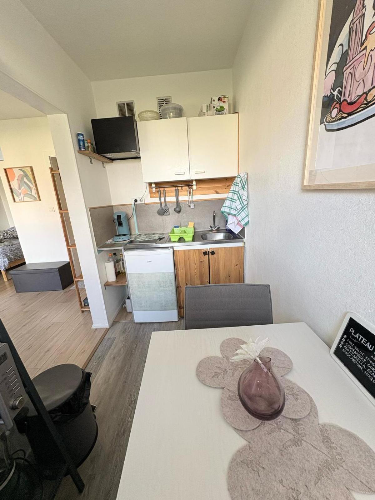 Studio Rdc Calme Avec Parking Ferme Pres Autoroute Et Tram C Mulhouse Bagian luar foto